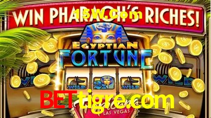 Experiência VIP bettigre.com